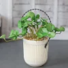 Artifical Hanging Planters For Outdoor Indoor Plants