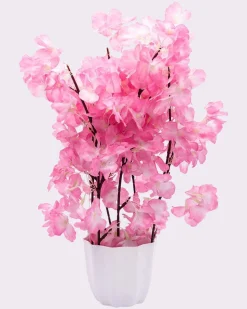 Artificial Flower Plant with White Pot, Blossom Flower, Pink, Plastic Plant