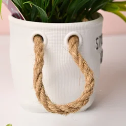 Artificial Flower With Pot – Green & White