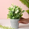 Artificial Flower With Pot – White