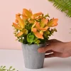Artificial Flower With Pot – Green & Orange