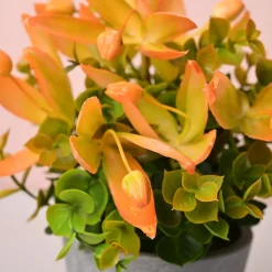 Artificial Flower With Pot – Green & Orange