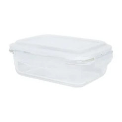 Borosilicate Food Containers (Pack of 2 - 640ml & 1040ml)