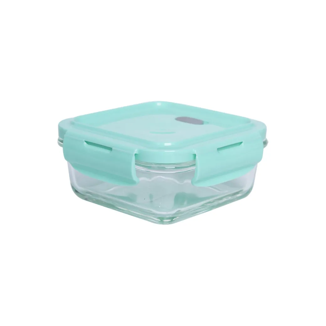 Borosilicate Food Containers (Pack of 2 - 340ml & 570ml) Green Lid
