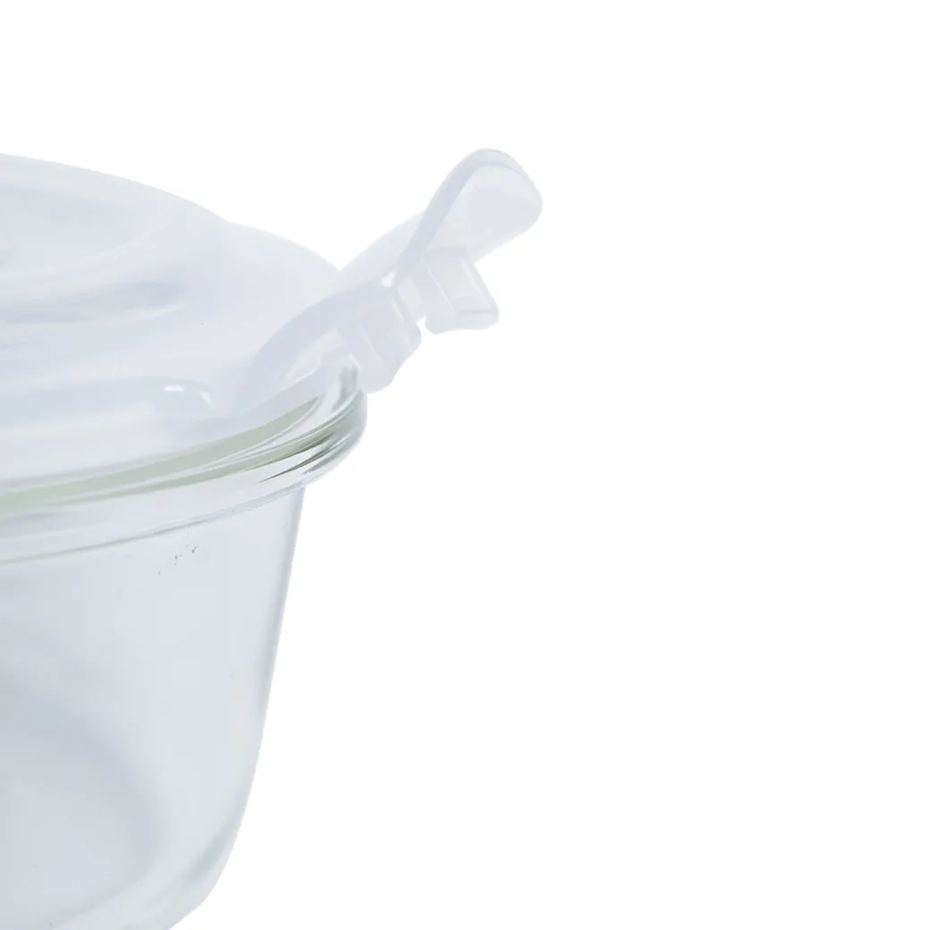 Borosilicate Food Containers (Pack of 2 - 400ml & 620ml)