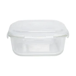 Borosilicate Food Containers (Pack of 2 - 800ml & 1200ml)