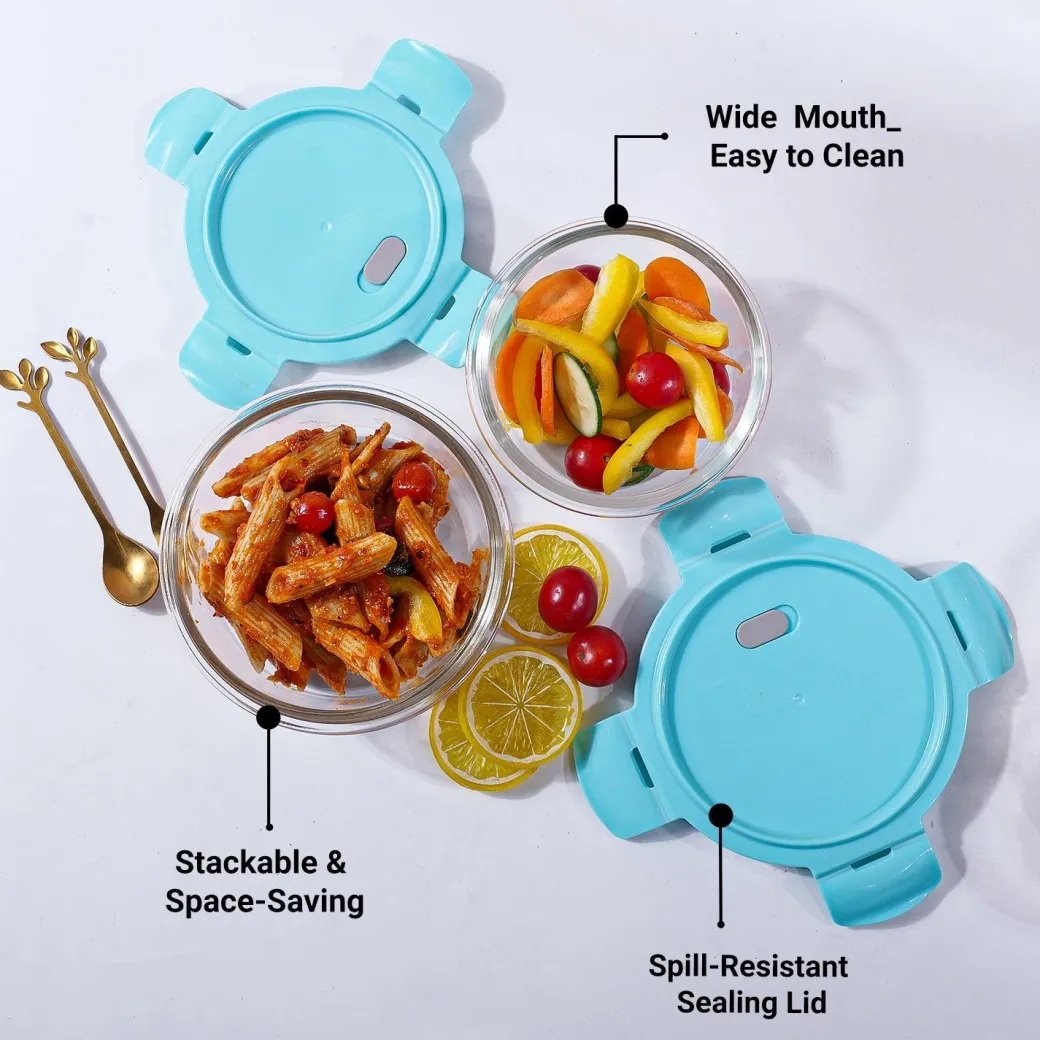 Borosilicate Food Containers (Pack of 2 - 410ml & 570ml) Blue Lid