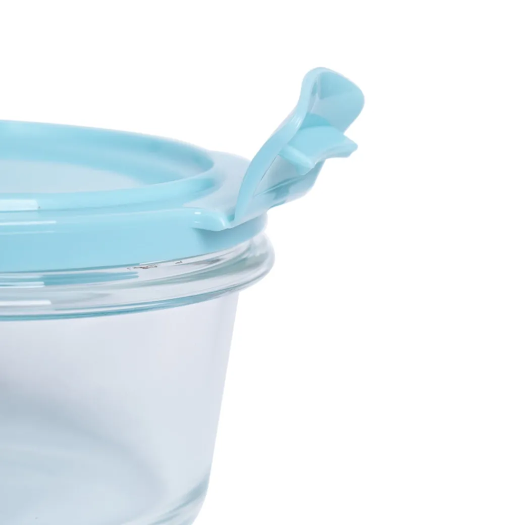 Borosilicate Food Containers (Pack of 2 - 410ml & 570ml) Blue Lid