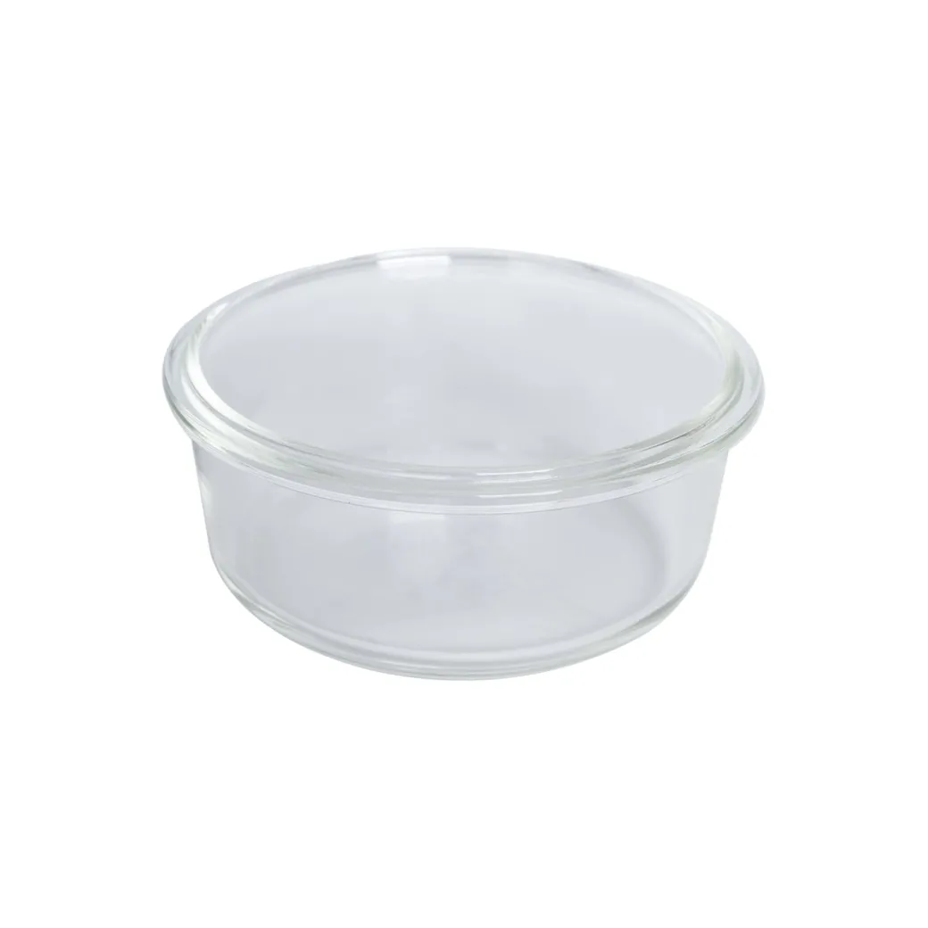 Borosilicate Food Containers (Pack of 2 - 410ml & 570ml) Blue Lid