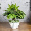 Ciliated Leaves Artificial Flower Vase For Home Décor