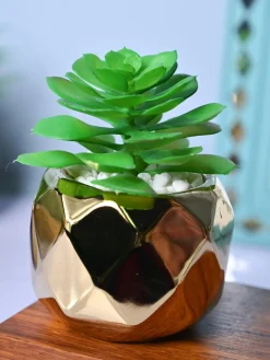 Golden Lattice - Artificial Plant in Ceramic Pot