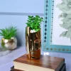 Golden Serenity - Face Design Artificial Plant with Pot