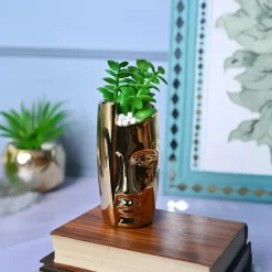 Golden Serenity - Face Design Artificial Plant with Pot