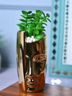 Golden Serenity - Face Design Artificial Plant with Pot