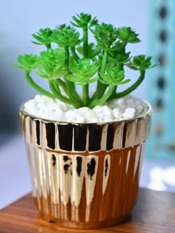 Golden Stripes - Artificial Plant with Glossy Ceramic Pot