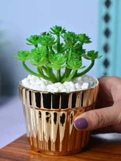 Golden Stripes - Artificial Plant with Glossy Ceramic Pot