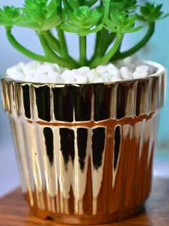 Golden Stripes - Artificial Plant with Glossy Ceramic Pot