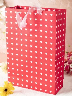 Large Valentine Gift Bag