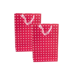 Large Valentine Gift Bag