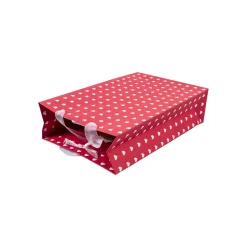 Large Valentine Gift Bag