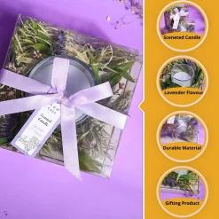 Lavender Small Fragrance Candle