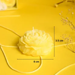 Lemon Rain Fragrance Candle Gift Set