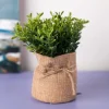 Market99 Artificial Flower with Pot, Green, Plastic