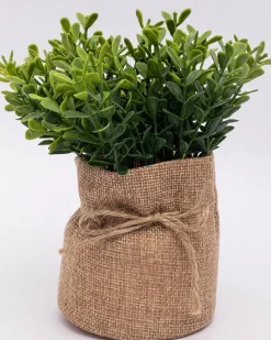 Market99 Artificial Flower with Pot, Green, Plastic