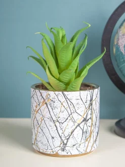 Market99 Fake Aloevera Desktop Planter