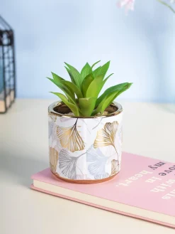 Market99 Fake Aloevera Desktop Planter