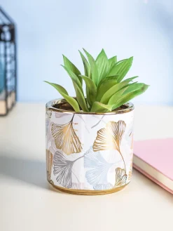 Market99 Fake Aloevera Desktop Planter