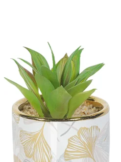 Market99 Fake Aloevera Desktop Planter