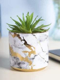Market99 Fake Aloevera Desktop Planter