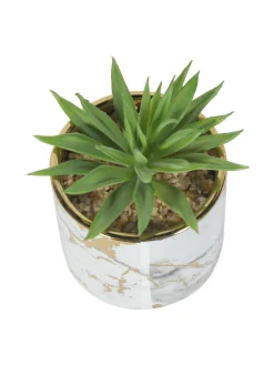 Market99 Fake Aloevera Desktop Planter