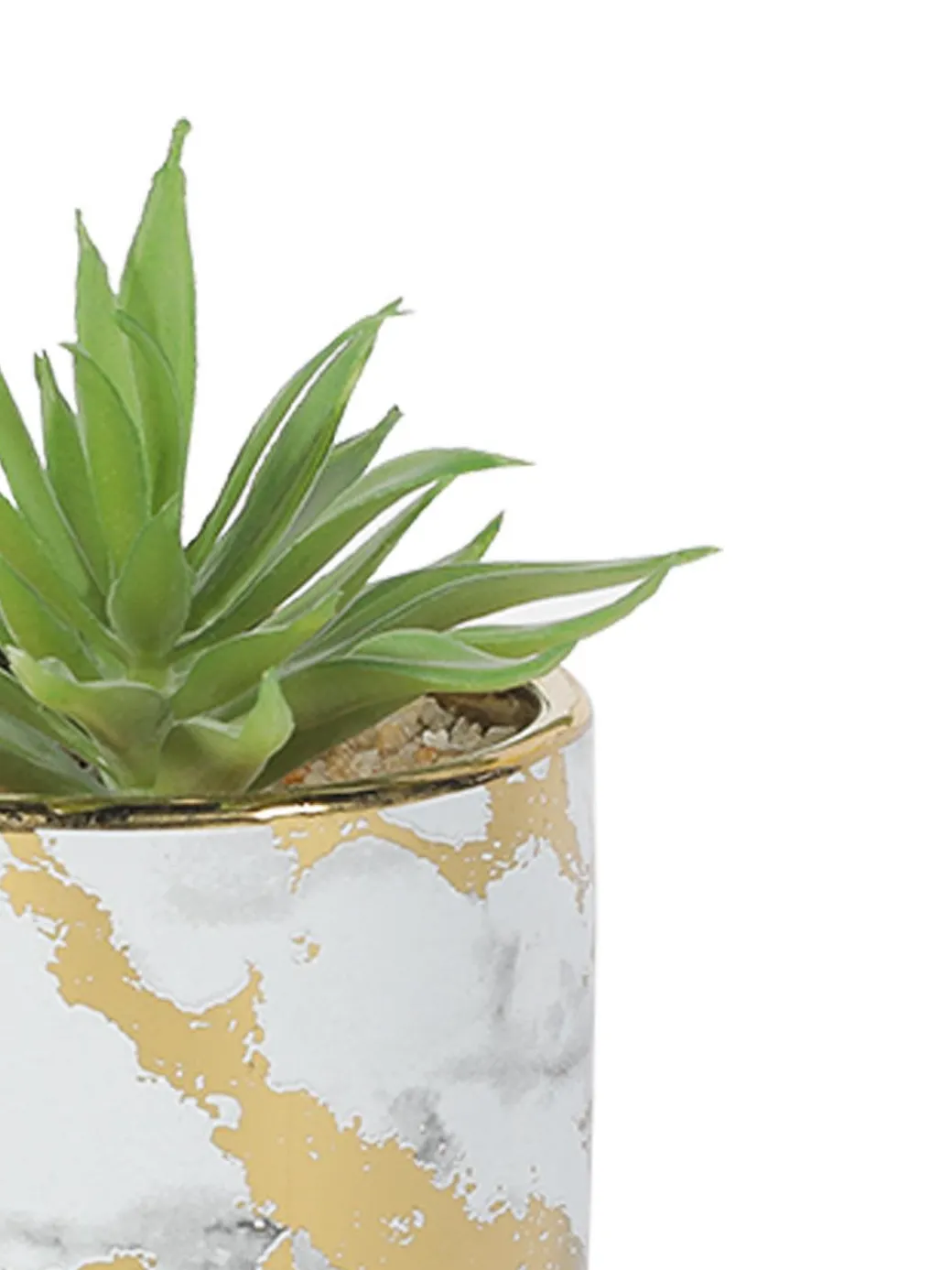 Market99 Fake Aloevera Desktop Planter