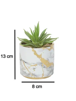 Market99 Fake Aloevera Desktop Planter
