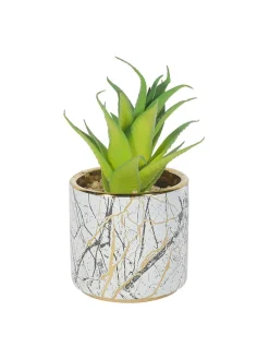 Market99 Fake Aloevera Desktop Planter