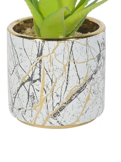 Market99 Fake Aloevera Desktop Planter