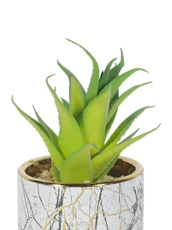 Market99 Fake Aloevera Desktop Planter