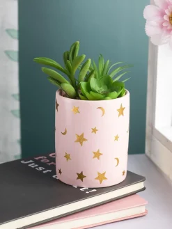Market99 Fake Aloevera Planter Pot
