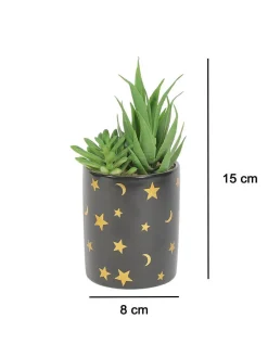 Market99 Fake Aloevera Planter Pot