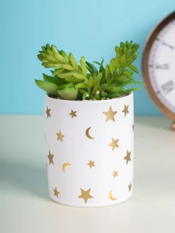 Market99 Fake Aloevera Planter Pot