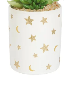Market99 Fake Aloevera Planter Pot