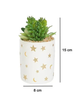 Market99 Fake Aloevera Planter Pot
