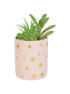 Market99 Fake Aloevera Planter Pot