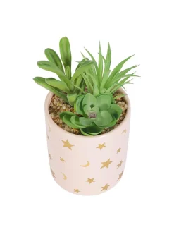 Market99 Fake Aloevera Planter Pot