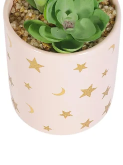 Market99 Fake Aloevera Planter Pot