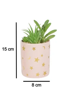 Market99 Fake Aloevera Planter Pot
