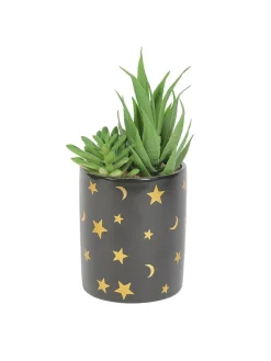 Market99 Fake Aloevera Planter Pot