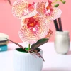 Market99 Pink Artificial Orchid Flower With Cyan Pot